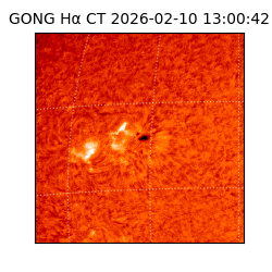 gong - 2026-02-10T13:00:42