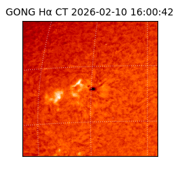 gong - 2026-02-10T16:00:42