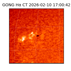 gong - 2026-02-10T17:00:42