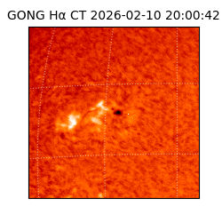 gong - 2026-02-10T20:00:42