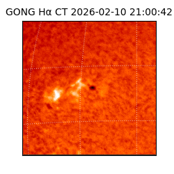 gong - 2026-02-10T21:00:42