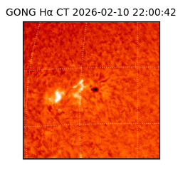 gong - 2026-02-10T22:00:42