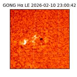 gong - 2026-02-10T23:00:42