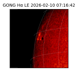gong - 2026-02-10T07:16:42