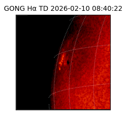 gong - 2026-02-10T08:40:22
