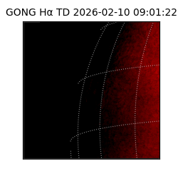 gong - 2026-02-10T09:01:22