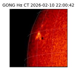 gong - 2026-02-10T22:00:42
