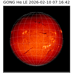gong - 2026-02-10T07:16:42