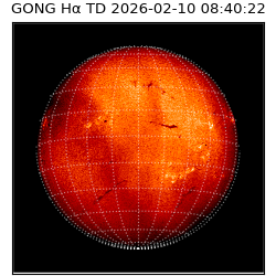 gong - 2026-02-10T08:40:22