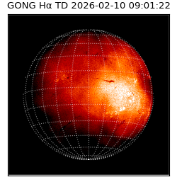 gong - 2026-02-10T09:01:22