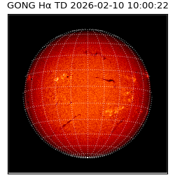 gong - 2026-02-10T10:00:22