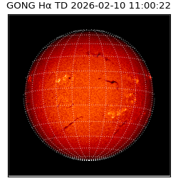gong - 2026-02-10T11:00:22