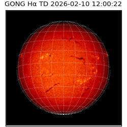 gong - 2026-02-10T12:00:22