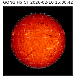 gong - 2026-02-10T15:00:42