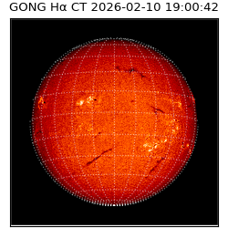 gong - 2026-02-10T19:00:42