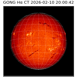 gong - 2026-02-10T20:00:42