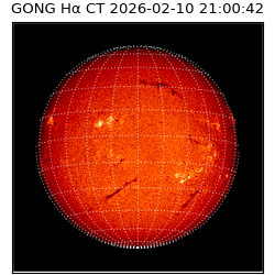 gong - 2026-02-10T21:00:42