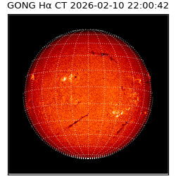 gong - 2026-02-10T22:00:42