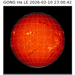 gong - 2026-02-10T23:00:42