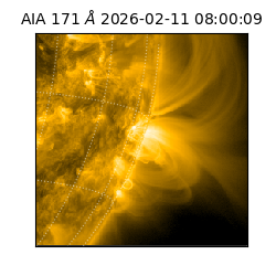 saia - 2026-02-11T08:00:09.353000