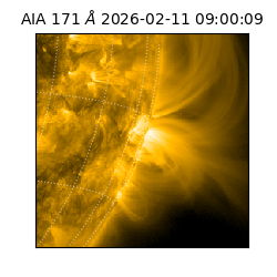 saia - 2026-02-11T09:00:09.353000