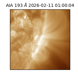 saia - 2026-02-11T01:00:04.843000