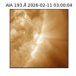 saia - 2026-02-11T03:00:04.843000