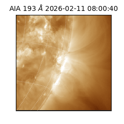 saia - 2026-02-11T08:00:40.843000