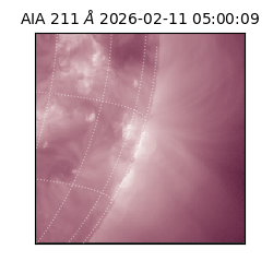 saia - 2026-02-11T05:00:09.633000