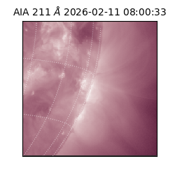 saia - 2026-02-11T08:00:33.626000
