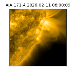 saia - 2026-02-11T08:00:09.353000