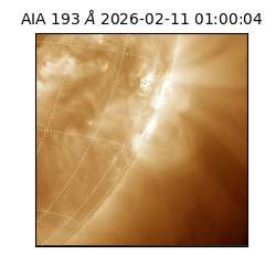 saia - 2026-02-11T01:00:04.843000