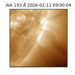 saia - 2026-02-11T09:00:04.842000