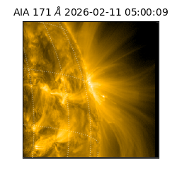 saia - 2026-02-11T05:00:09.342000