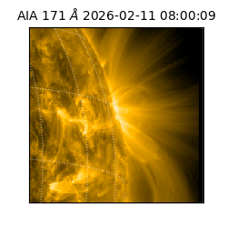 saia - 2026-02-11T08:00:09.353000