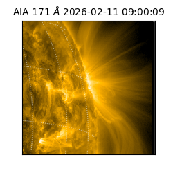 saia - 2026-02-11T09:00:09.353000