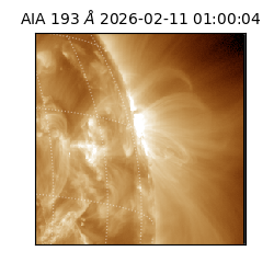 saia - 2026-02-11T01:00:04.843000