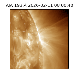 saia - 2026-02-11T08:00:40.843000
