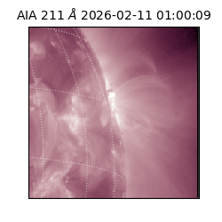 saia - 2026-02-11T01:00:09.626000