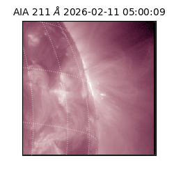 saia - 2026-02-11T05:00:09.633000