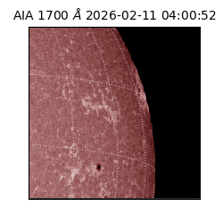 saia - 2026-02-11T04:00:52.726000