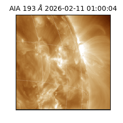 saia - 2026-02-11T01:00:04.843000