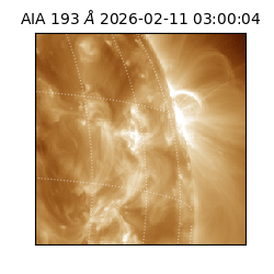 saia - 2026-02-11T03:00:04.843000