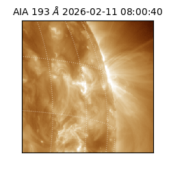 saia - 2026-02-11T08:00:40.843000
