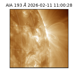 saia - 2026-02-11T11:00:28.843000