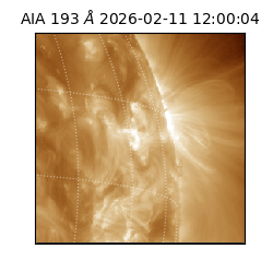 saia - 2026-02-11T12:00:04.843000