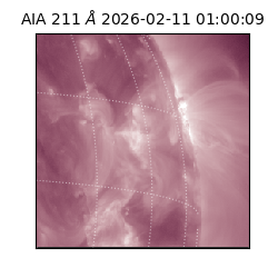 saia - 2026-02-11T01:00:09.626000