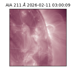 saia - 2026-02-11T03:00:09.626000