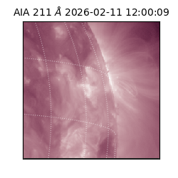 saia - 2026-02-11T12:00:09.632000