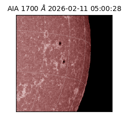 saia - 2026-02-11T05:00:28.713000